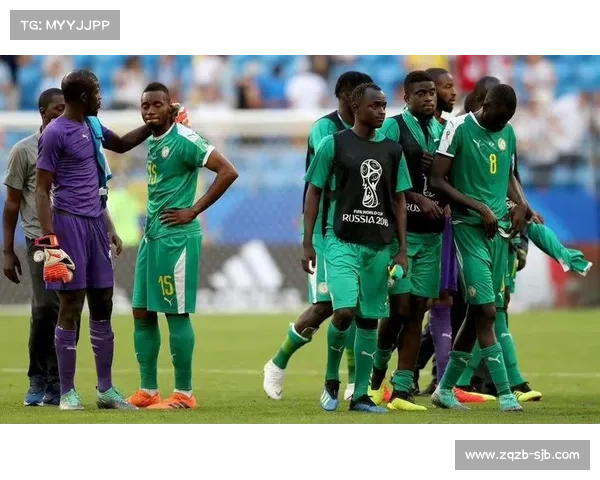 扩军后非洲球队迎来历史机遇 摩洛哥塞内加尔力争世界杯八强